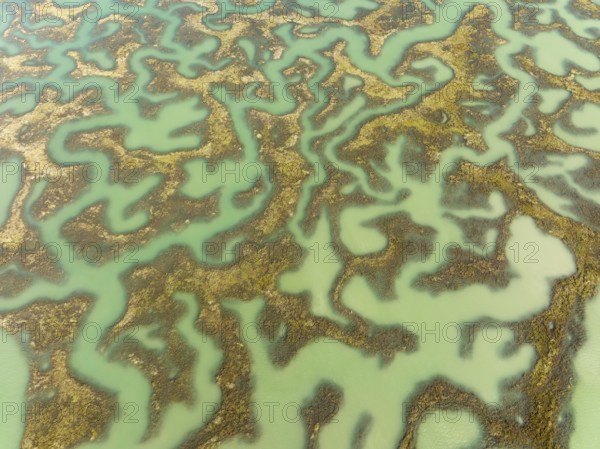 Network of channels and streams at low tide, in the marshland of the Bahía de Cádiz, aerial view,