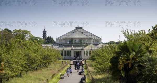 Temperate House, the largest Victorian greenhouse in the world, Royal Botanic Gardens (Kew