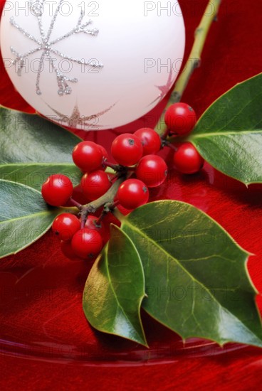 Holly (Ilex aquifolium) leaves and berries, christmas tree balls, on writing, prick sleeve,