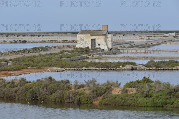 Ses Salines saltworks, near Sant Francesc d'Estany, Ibiza, Balearic Islands, Spain, Europe