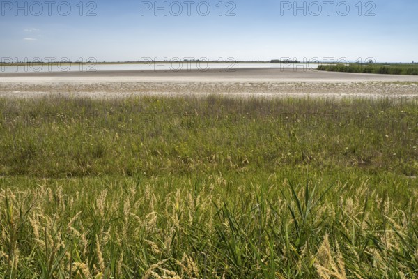 Heavily dried out Darscho or Warmsee, Lake Neusiedl-Seewinkel National Park, Burgenland, Austria,