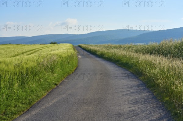 Field road with barley field in spring, Großheubach, Miltenberg, Spessart, Bavaria, Germany, Europe