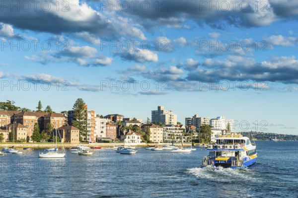 Manly harbour, Sydney, New South Wales, Australia, Oceania