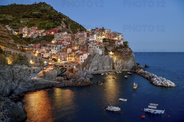 Fishing village of Manarola, blue hour, blue hour, district of Riomaggiore, Cinque Terre, province