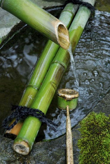 Fountain and bamboo ladle, Ryoanji, Ryoan-ji temple, Kyoto, Japan, Asia