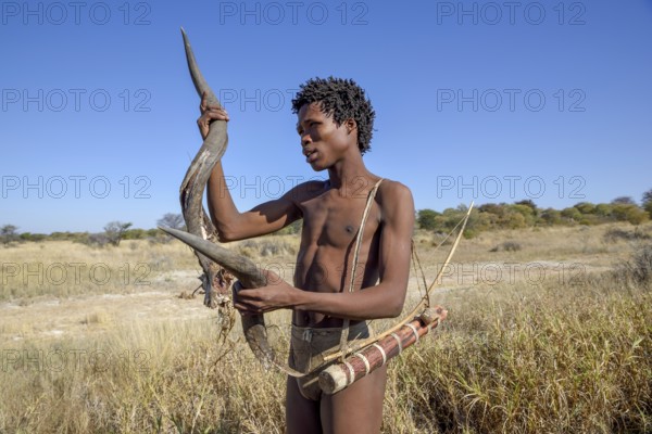 Bushman of the Ju/? Hoansi-San in a traditional hunt with bow and arrow, inspects the horn of a