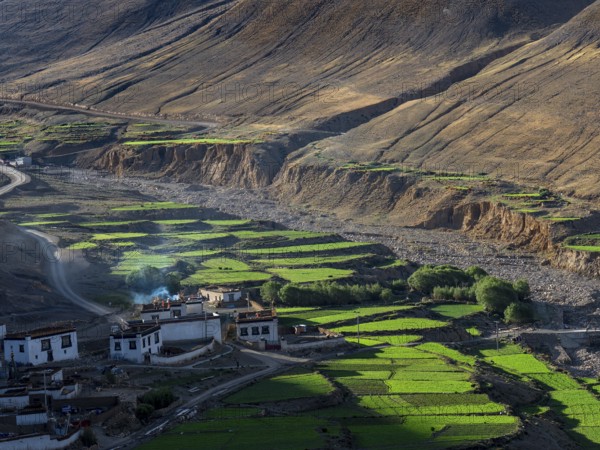 Village between green terraces, rice cultivation and agriculture in the highlands of Tibet, China,
