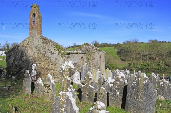 Seventeenth century Kilcredan church ruins and graveyard, County Cork, Ireland, Europe