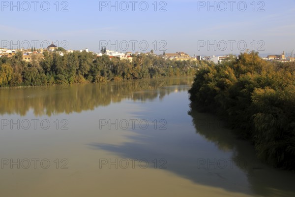 Treelined channel of river Rio Guadalquivir in city centre, Cordoba, Spain, Europe