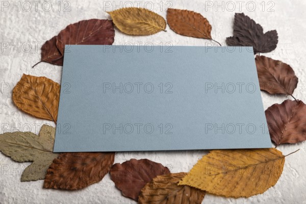 Blue paper business card with yellow and brown autumn leaves, mockup on gray concrete background.