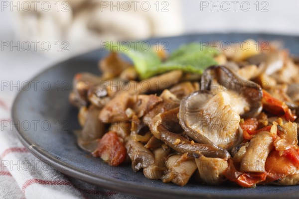 Fried oyster mushrooms with tomatoes on gray concrete background. side view, close up