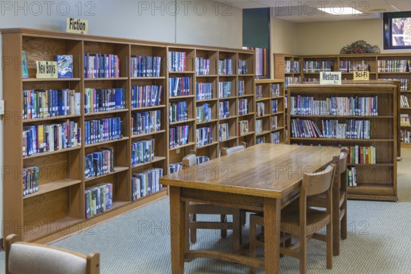 Books fill shelves at a small town library in Rockville, Indiana, USA, North America