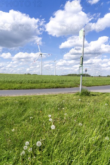 Local transport in the countryside, line 299, 4 stops on weekdays, bus stop Nierleistraße, Dorsten,