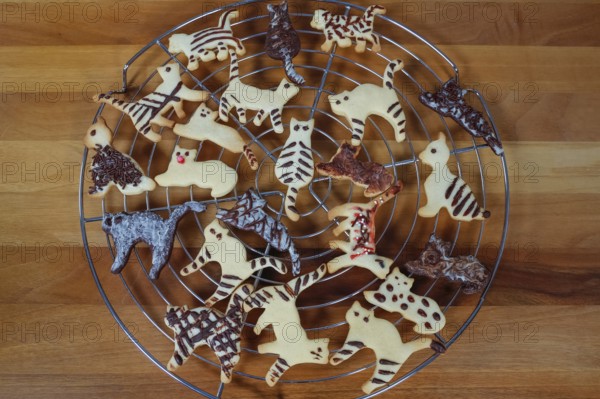 Swabian cuisine, Swabian Christmas biscuits, cookie cutters, shortbread biscuits, cat figures,