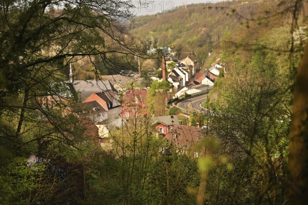 Iserlohn. This year's unusually warm weather in April has already given us a May. Nature exploded