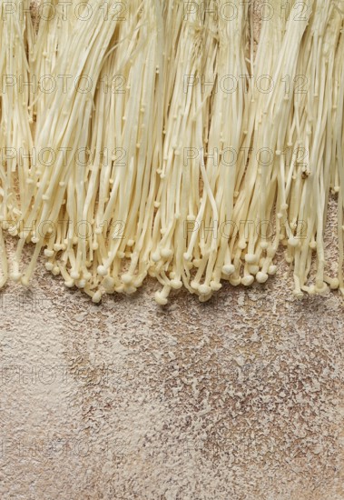 Enoki mushrooms, raw, top view, close-up