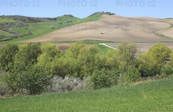 Farming landscape of Rio Setenil valley, Cuevas del Marques, Serrania de Ronda, Spain, Europe