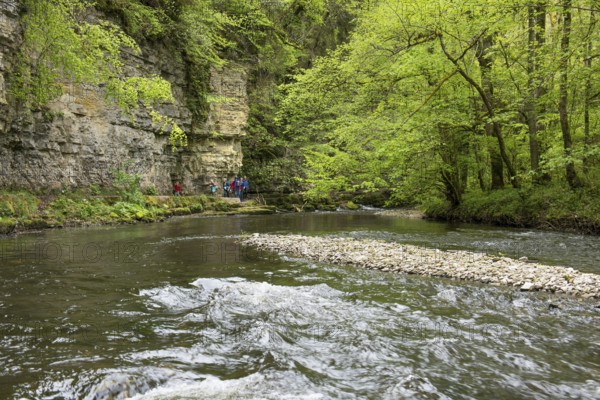 Hiking trail by the river, Wutach Gorge, Bonndorf, Baden-Württemberg, Black Forest, Germany, Europe