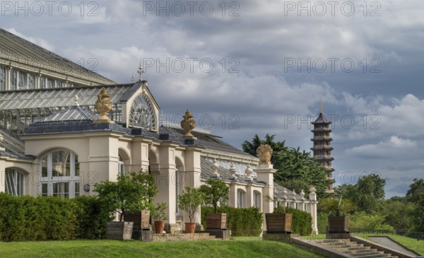Temperate House, the largest Victorian greenhouse in the world, with the historic Great Pagoda in