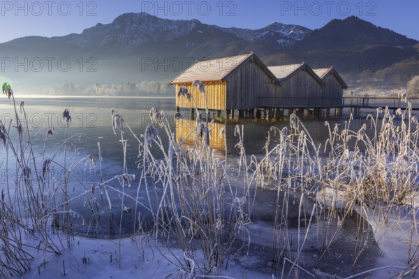 Boat huts, icy shore, lake, morning light, fog, snow, winter, mountains, Lake Kochel, Schlehdorf,
