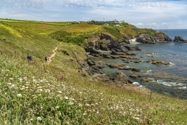 Lizard Point, the southernmost point of England, Cornwall, England, Great Britain