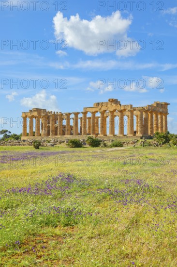 Temple of Hera or Temple E, Selinunte Archaeological Park, Selinunte, Trapani district, Sicily,