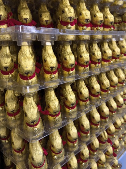 Display in shelf of wholesale of chocolate Easter bunnies Easter bunnies colour gold of red staniol