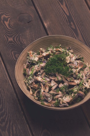 Chicken and mushroom salad, with herbs, seasoned with white sauce, close-up, rustic style, on a
