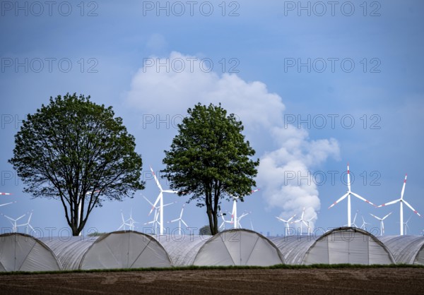 Agriculture, large areas with foil tunnels, for growing strawberries, south of Lövenich, belongs to