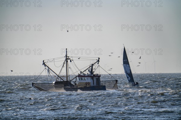 Shrimp cutter SCH-10 Drie Gebroeders, off the coast of Scheveningen, The Hague, with spread nets,