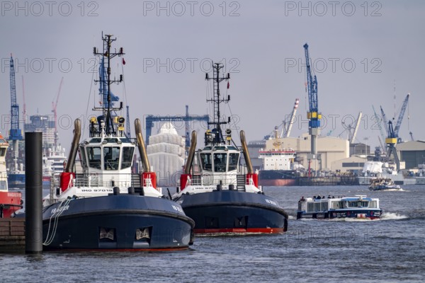 Harbour tug VB Bison, Bear on the Elbe, Hamburg, Germany, Europe