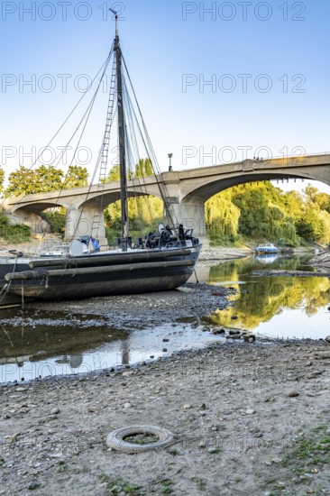 The Rhine at extremely low water, near Bad Honnef Rhöndorf, below the Drachenfels, the historic