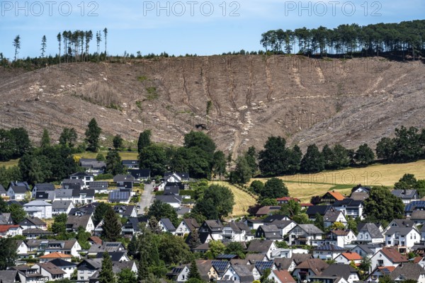 Cleared forest area north of the village of Öventrop, district of Arnsberg, dead spruce stands were