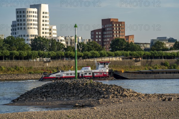 Rhine near Düsseldorf, extremely low water, Rhine level at 81 cm, falling, after a long drought the