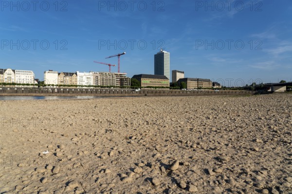 Rhine near Düsseldorf, extremely low water, Rhine level at 81 cm, falling, after a long drought the