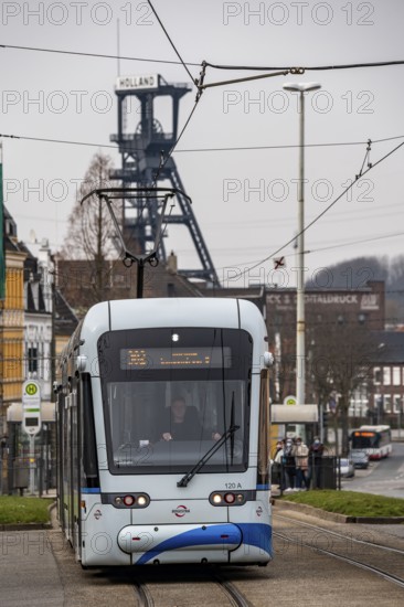 Tram, line 302, on Friedrich-Ebert-Straße, Freiheitstrasse stop, in Bochum-Wattenscheid, in the