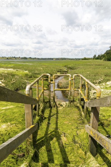 Drainage sluice gate River Deben at very low tide, Sutton, Suffolk, England, UK