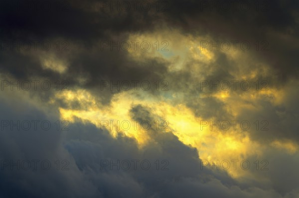 Nature, sunrise, sky, clouds, Gutach im Breisgau, Germany, Europe