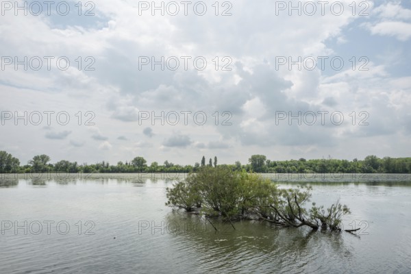 Parco del Mincio, Mantua, Italy, Europe