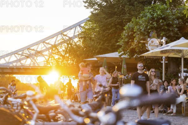 Summer evening at the Elbe garden in Dresden Loschwitz, Summer in Loschwitz, Dresden, Saxony,