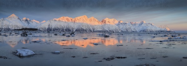 Morning light, mountains, snowy, reflection, sea, coast, fjord, winter, panorama, Lyngen Alps,