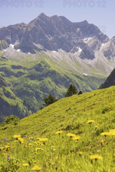 Großer Wilder, 2379m, Hochvogelgruppe and Rosszahngruppe, Allgäu Alps, Allgäu, Bavaria, Germany,