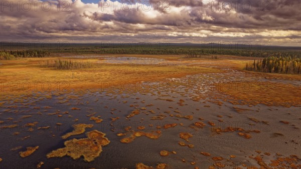 Moor, autumn, intense colouring, impressive cloud formation, drone shot, with horizon, Lapland,