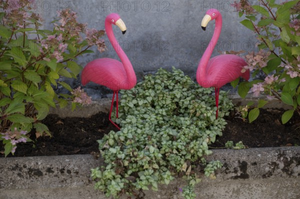 Flamingo figures in a front garden, Iphofen, Lower Franconia, Bavaria, Germany, Europe