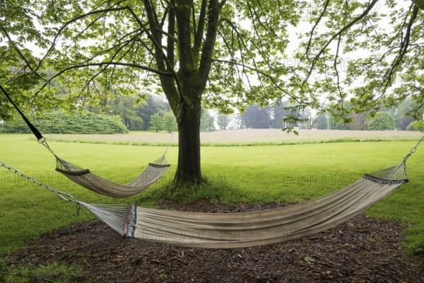Hammocks in the park, moated castle, Schloss Dyck, Jüchen, Lower Rhine, North Rhine-Westphalia,