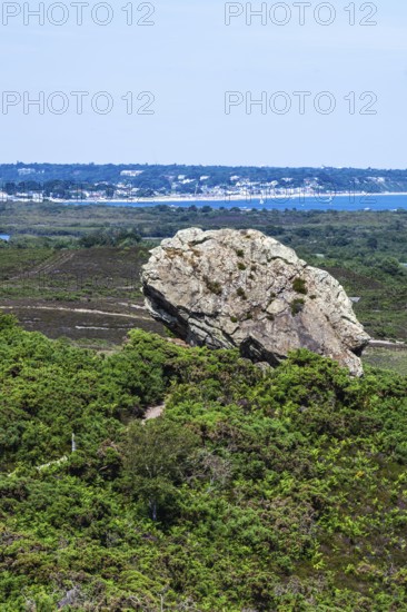 Agglestone Rock, Devil's Anvil, Studland, Dorset, England, United Kingdom, Europe