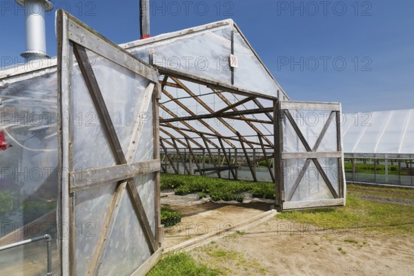 Opened doors on greenhouse with plants being grown in containers in spring, Quebec, Canada, North