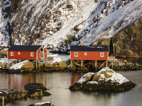 Traditional red rorbu houses on stilts in the authentic fishing village of Nusfjord, Flakstadøya,