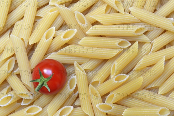 Pasta, Italian penne and tomato