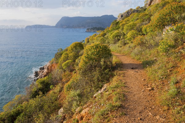Nature trail along a rocky coast with lush vegetation and views of the open sea, Agia Kyriaki,
